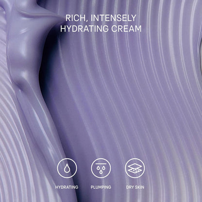 Revitalize Your Skin with TATCHA Dewy Skin Cream - Luxurious Moisturizer Enriched with Hyaluronic Acid for a Radiant Glow