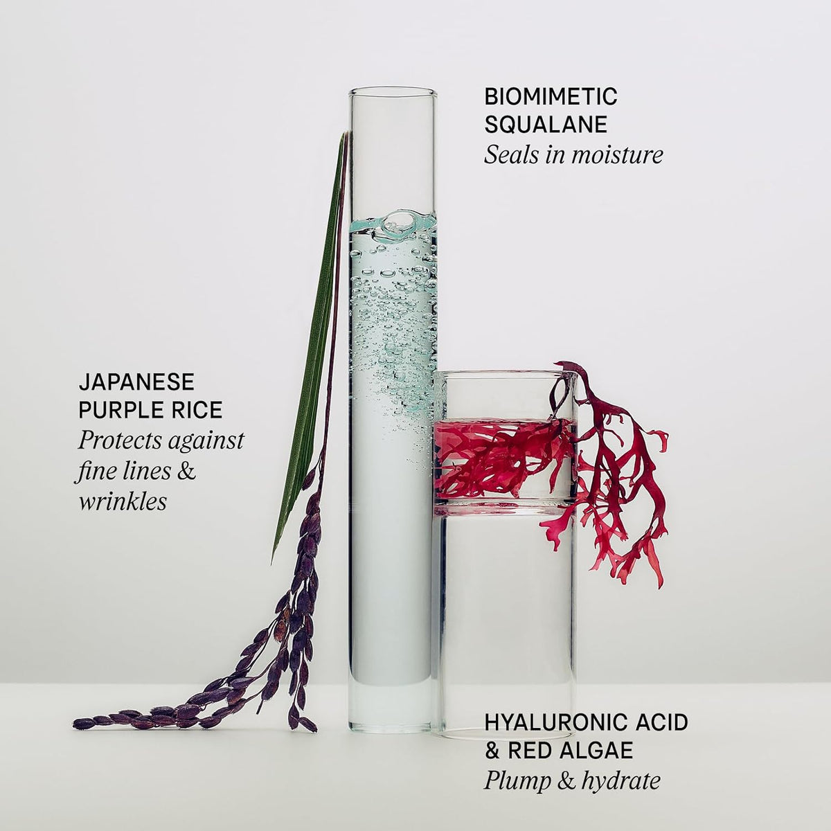 Revitalize Your Skin with TATCHA Dewy Skin Cream - Luxurious Moisturizer Enriched with Hyaluronic Acid for a Radiant Glow