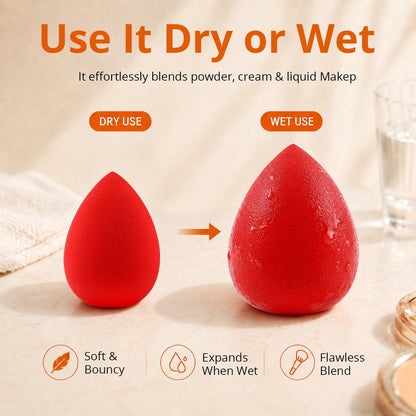 BEAKEY Professional Makeup Sponge Set - 5 Pack Foundation Blending Sponges and Soft Applicators
